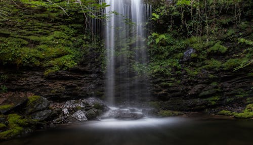 Scenic View of Waterfalls in the Forest