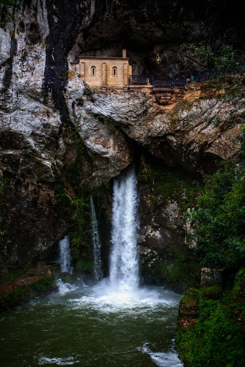 Foto d'estoc gratuïta de bosc, cascada, en cascada