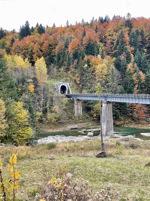 Free Gray Concrete Bridge over River Stock Photo