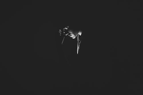 Monochrome Photography of Person On Dark Room