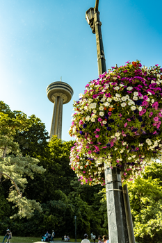 Vibrant flowers and Skylon Tower under a clear summer sky in Niagara Falls, Canada.