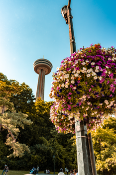 Vibrant summer scene of Skylon Tower with colorful hanging flowers at Niagara Falls.