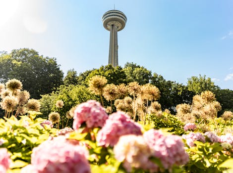 Vibrant flowers bloom beneath the Skylon Tower on a sunny day in Niagara Falls.