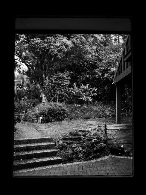 Photo by Sonny Sixteen on Pexels Elegant grayscale garden scene captured from an interior doorway.