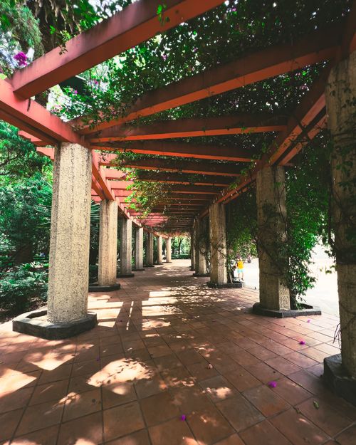 Free Peaceful pergola covered walkway with dappled sunlight in a Mexico City park. Stock Photo