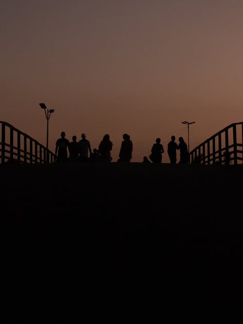 Silhouette of People Standing on Bridge at Dusk