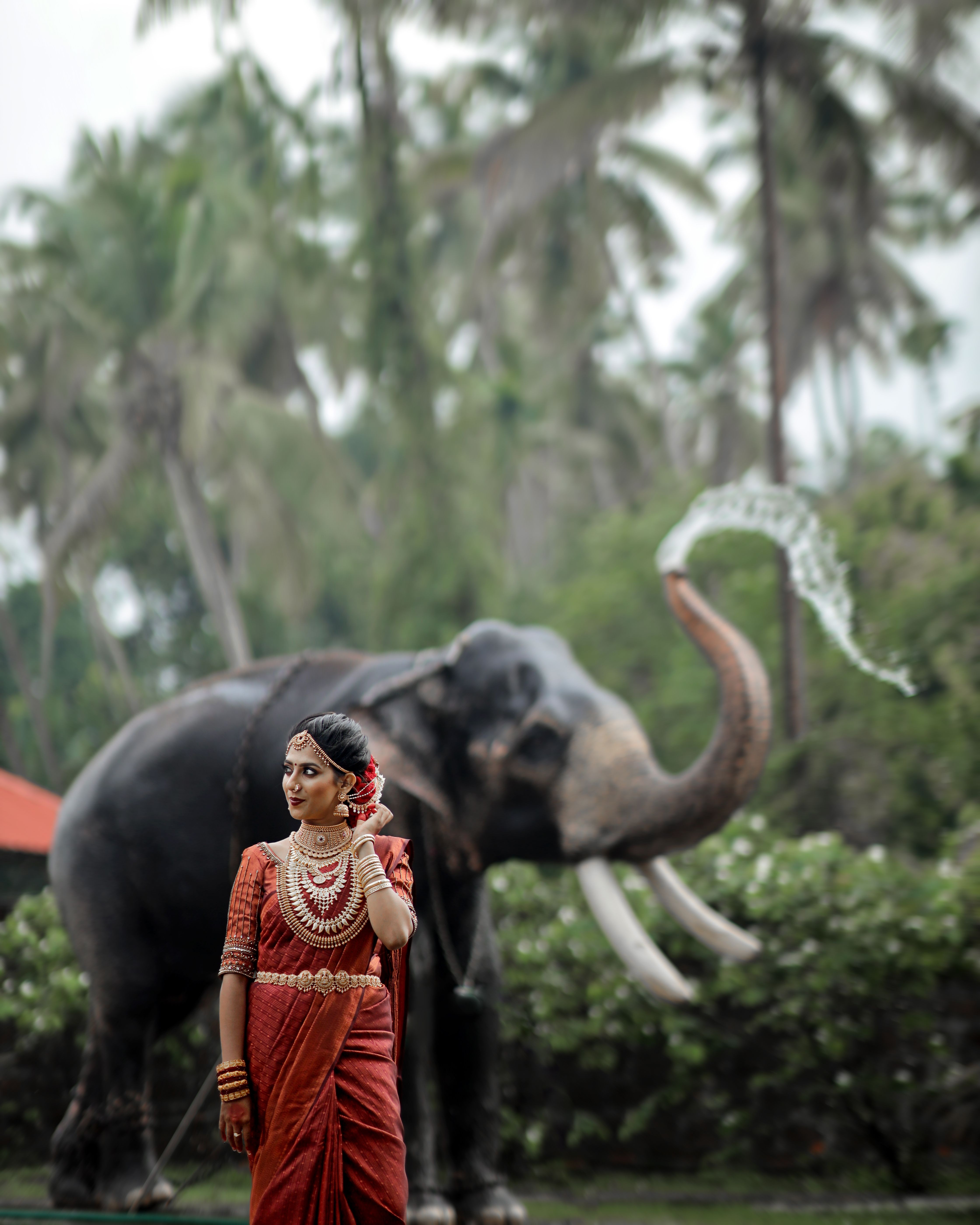 A beautifully dressed Indian woman poses with an elephant in a lush jungle backdrop.