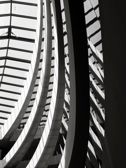 Free Striking black and white image of a modern architectural glass ceiling with elegant curved lines and geometric patterns. Stock Photo