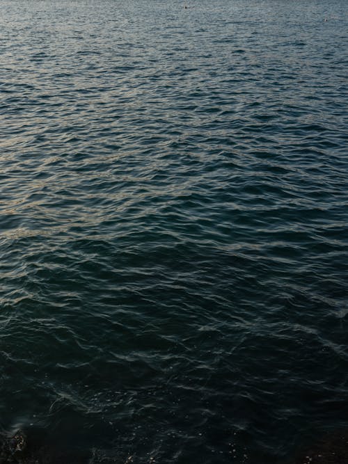 Darmowe zdjęcie z galerii z fale, fotografia przyrodnicza, morze