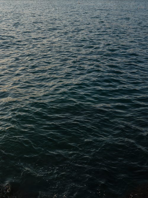 Fotos de stock gratuitas de agua, dice adiós, fondo