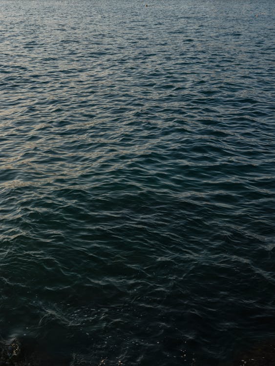 Immagine gratuita di acqua, fotografia della natura, mare