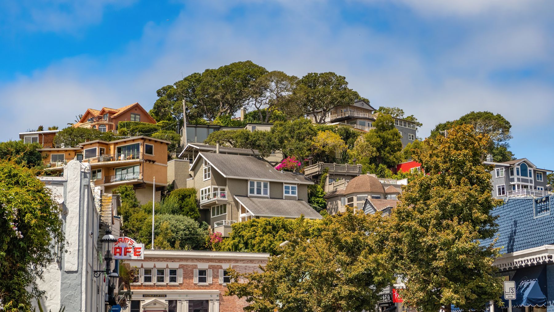 A hillside town with houses tucked into dense green trees