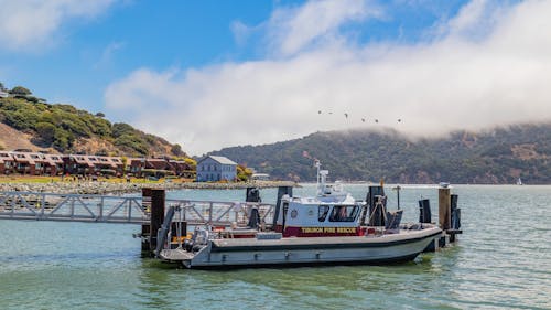 Rescue Boat Docked Near Seashore