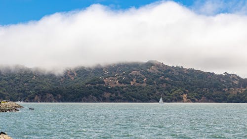 加州, 多雲的, 天使岛 的 免费素材图片