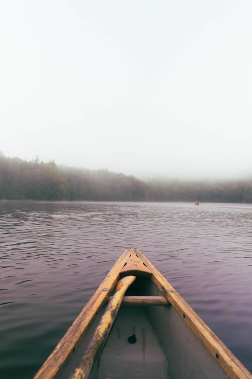 Free stock photo of fog, foggy day, foggy landscape