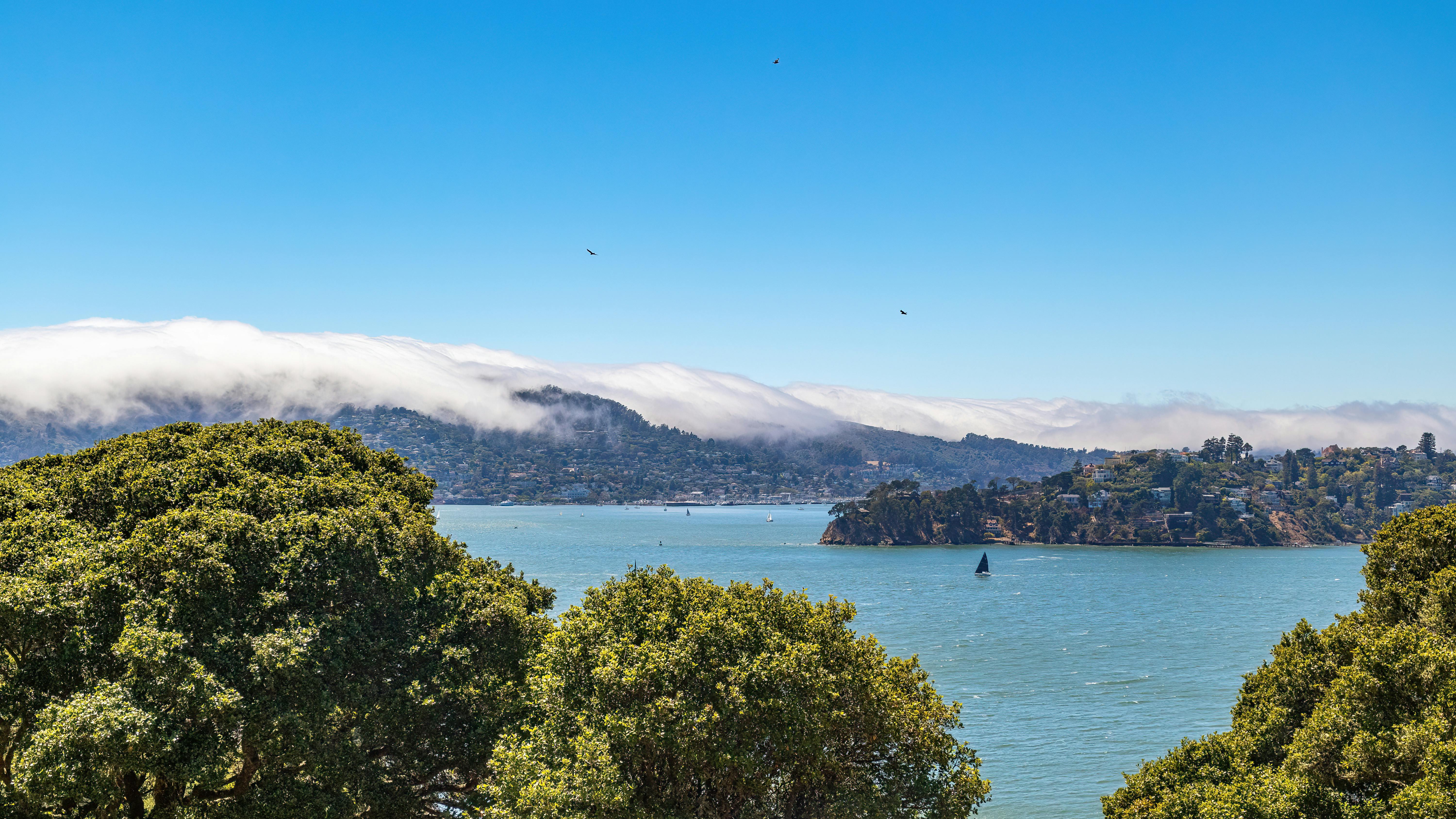 The best real estate brokers in the Bay Area — Photo by Robert So on Pexels