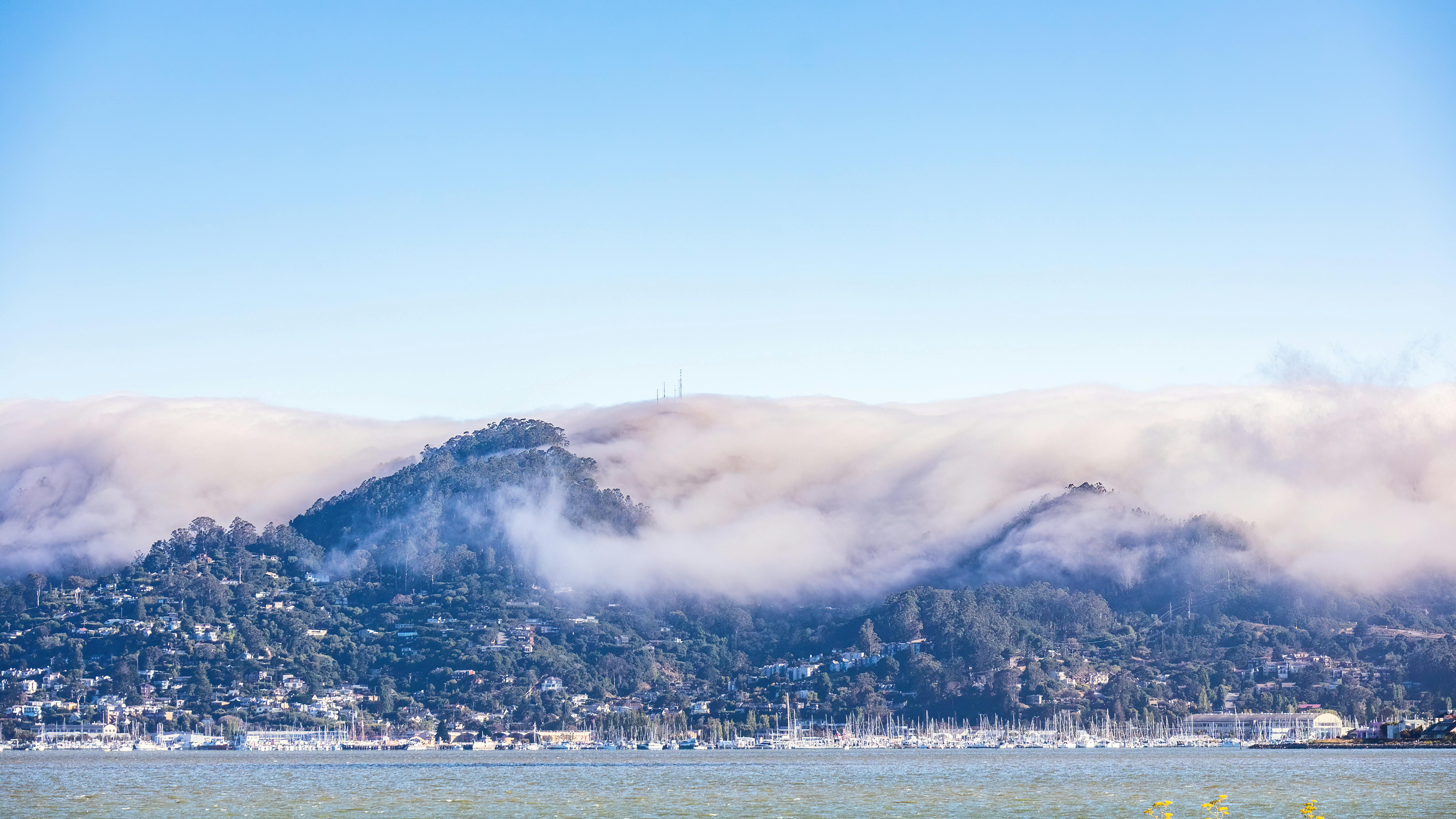 Marin County District 1 supervisor candidates differ on flooding response, sea level rise — Photo by Robert So on Pexels