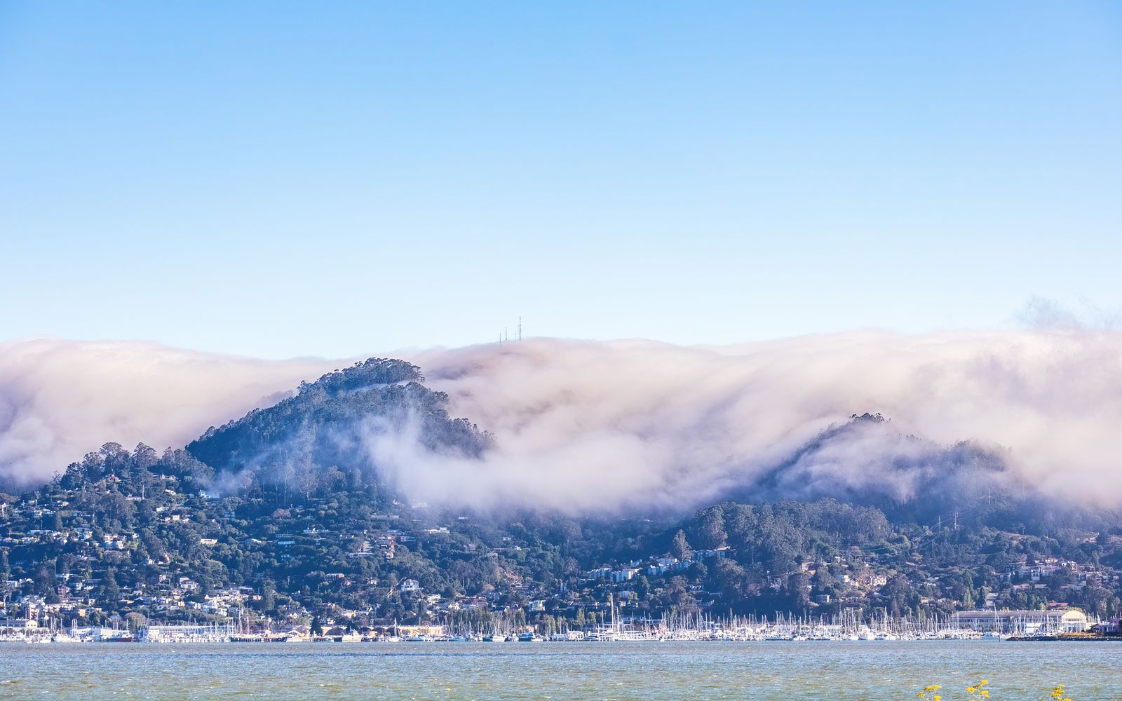 Low clouds over tree-covered hills in Marin County, California, with a marina in the distance