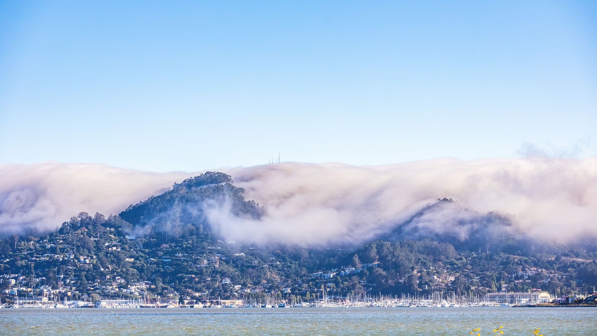 Soft clouds over tree-covered Marin County hills above a small waterfront marina