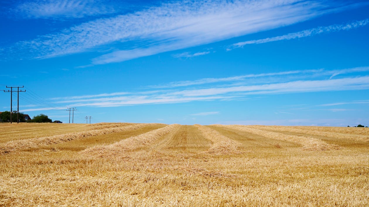 Бесплатное стоковое фото с голубое небо, пахотная земля, поле
