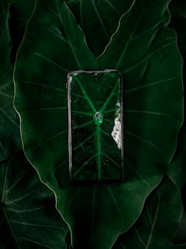 A smartphone placed on a lush green kalo leaf, showcasing nature's contrast and simplicity.