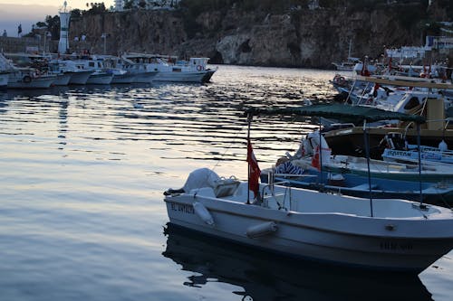 White Boats Docked on a Harbor