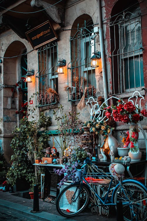 Parked Bicycle Near Potted Flowers Outside an Establishment