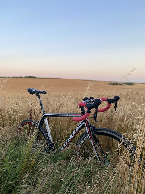 Bike on Grass Field