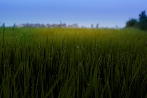 Kostnadsfri bild av blå, himmel, landskap