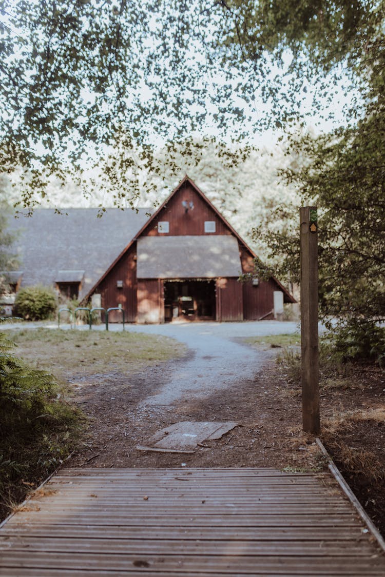 Picture Taken From A Wooden Deck Of A House And Yard 