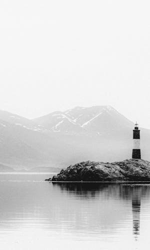 1 Million Royalty Free Images Pexels 1 Million Royalty Free Images Pexels