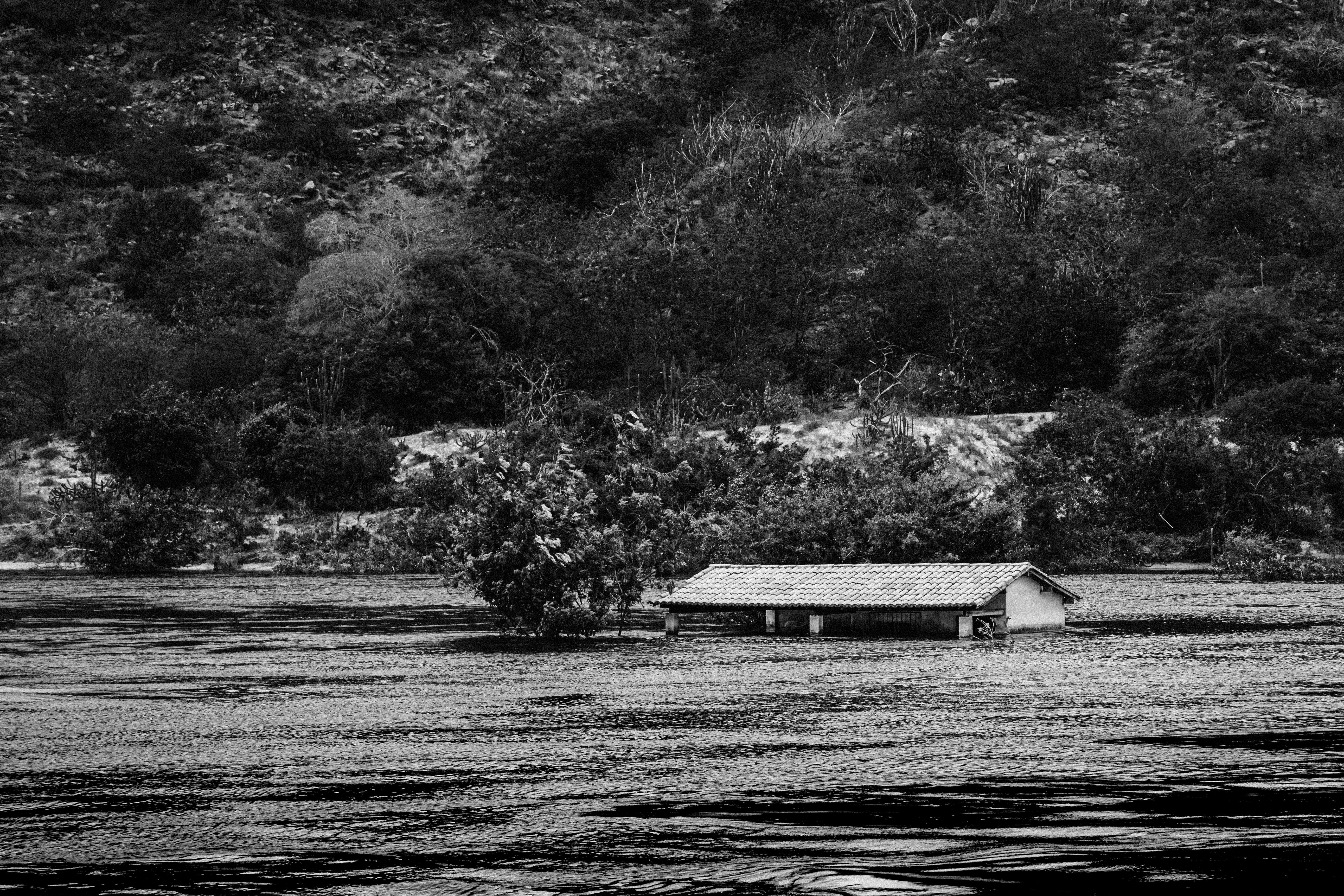 Gigantul minier BHP responsabil pentru cel mai grav dezastru ecologic din Brazilia, anunță instanța din Regatul Unit