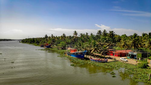 Photos gratuites de arbres, bateau, embarcation