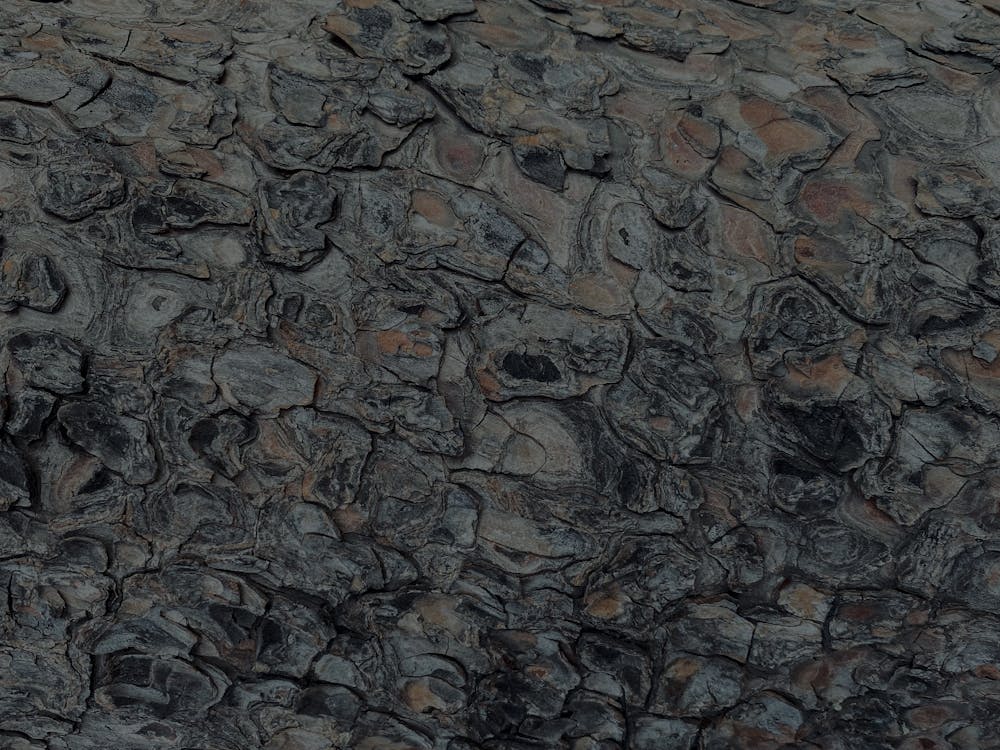 Rough Surface · Free Stock Photo