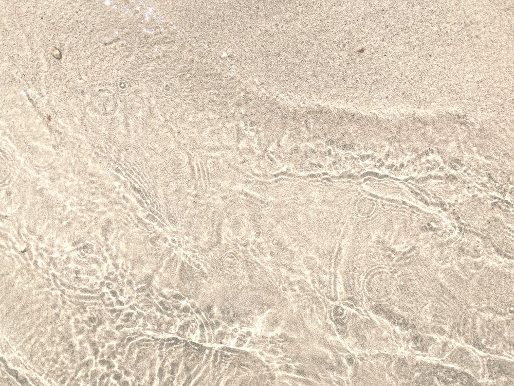 모래, 해안, 확대의 무료 스톡 사진