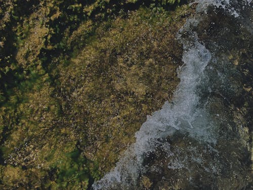 Immagine gratuita di acqua, mare, natura