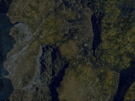 Close-up view of a moss-covered rock surface showcasing detailed textures and natural patterns.