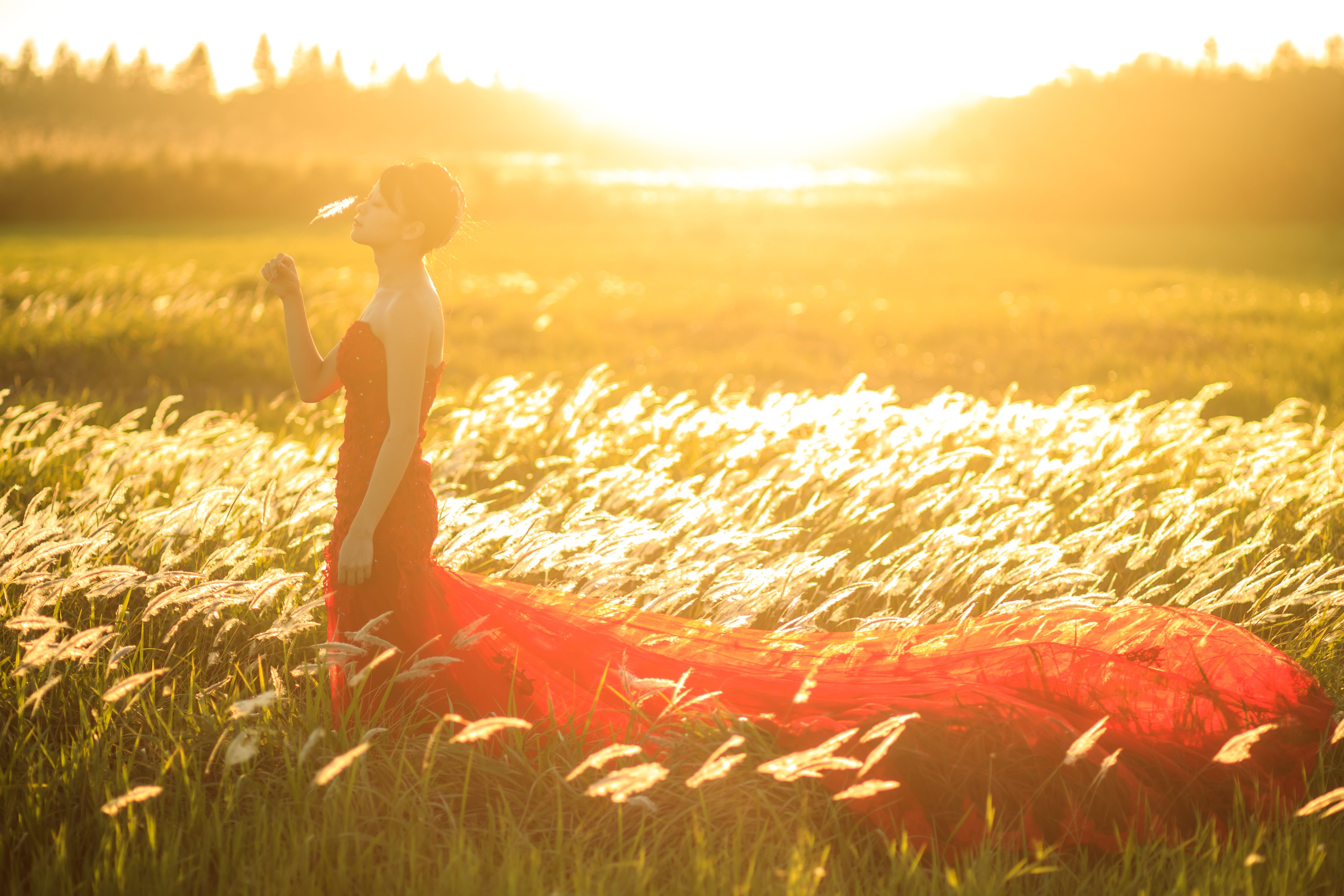 Woman in Red Dress Standing on Green Grass Field · Free Stock Photo