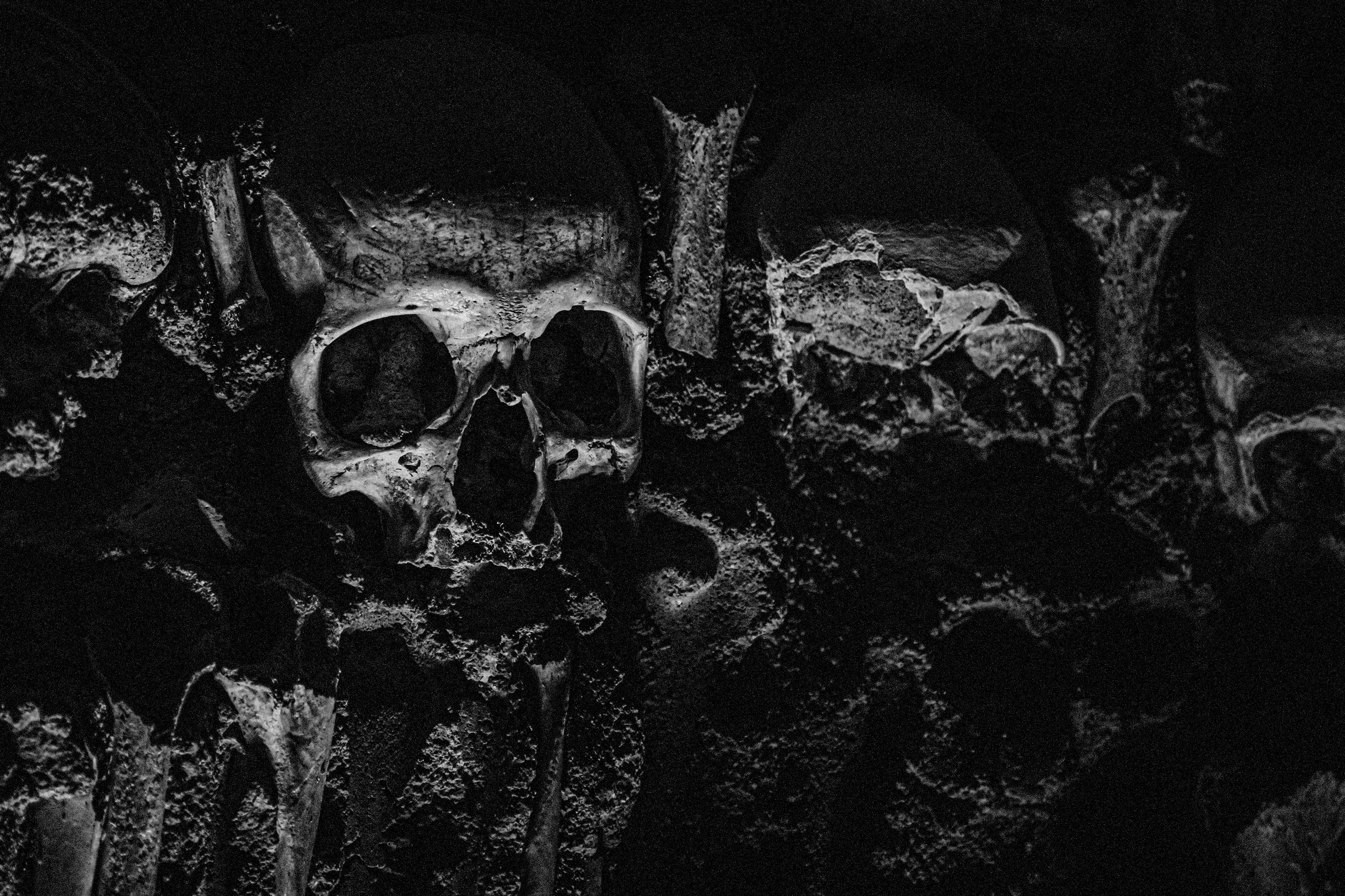 Grayscale Photography of Human Skull · Free Stock Photo