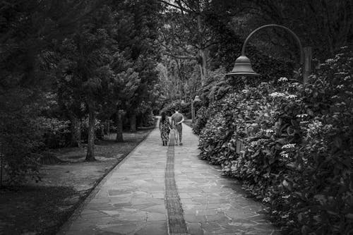 Immagine gratuita di bianco e nero, camminando, coppia