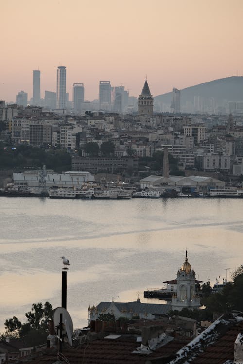 Imagine de stoc gratuită din apă curgătoare, fotografiere verticală, localitate