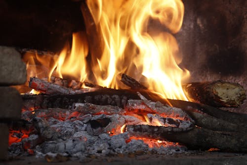 Foto stok gratis api, hangat, kayu bakar