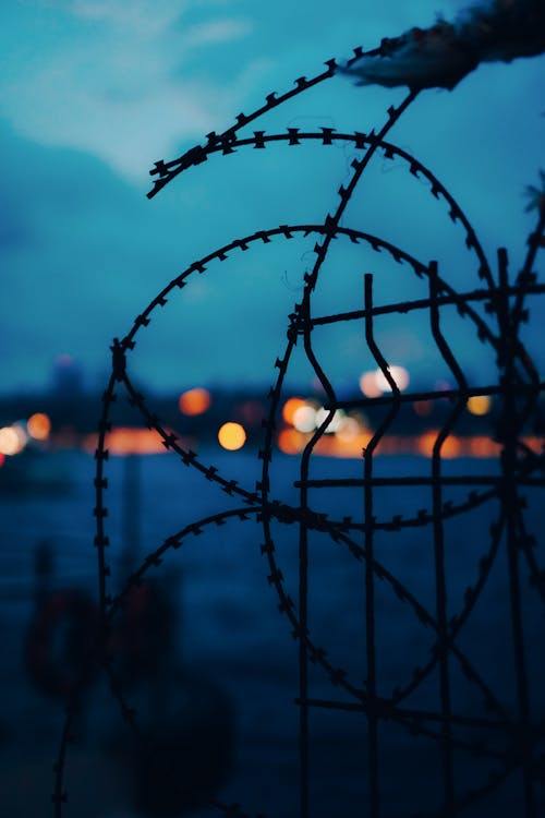 A Silhouette of Barbed Wires at Night
