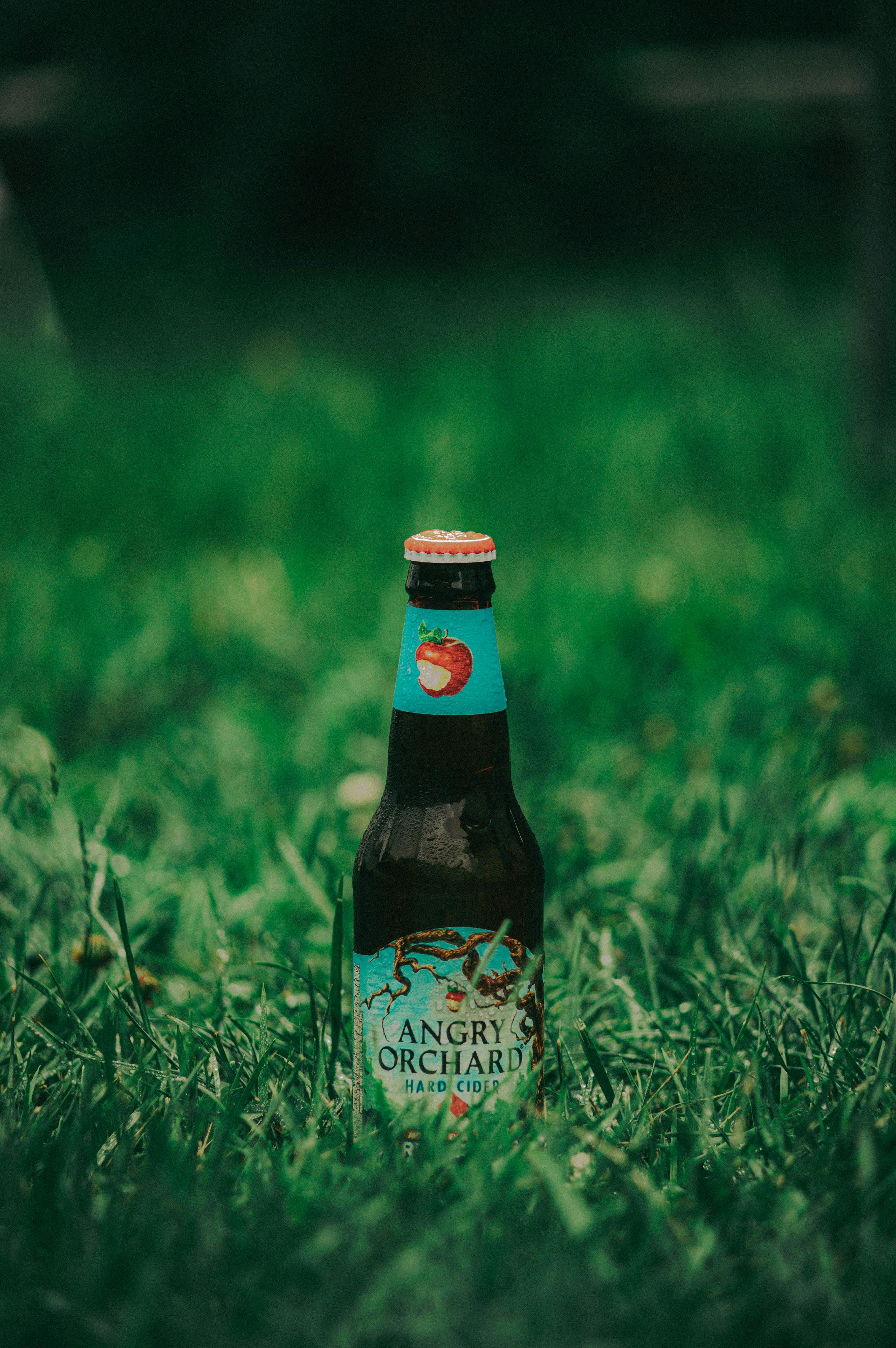 A Bottle of Cider on the Grass · Free Stock Photo