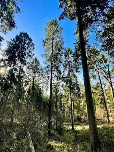 Macau (Special Administrative Region of China)