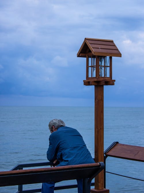 Back View of a Man Sitting on a Bench Seaside