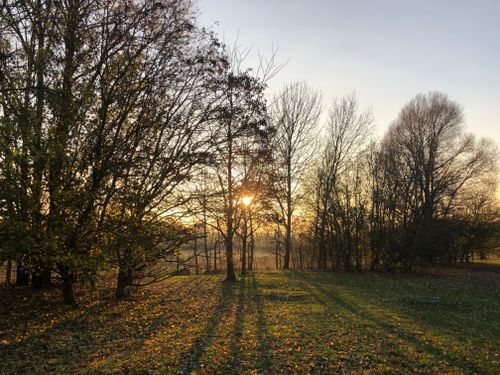 Free Beautiful silhouette of bare trees at sunset in a serene autumn landscape. Stock Photo