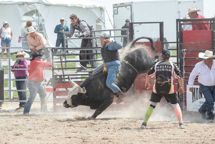 Man Wearing A Helmet Riding A Bull