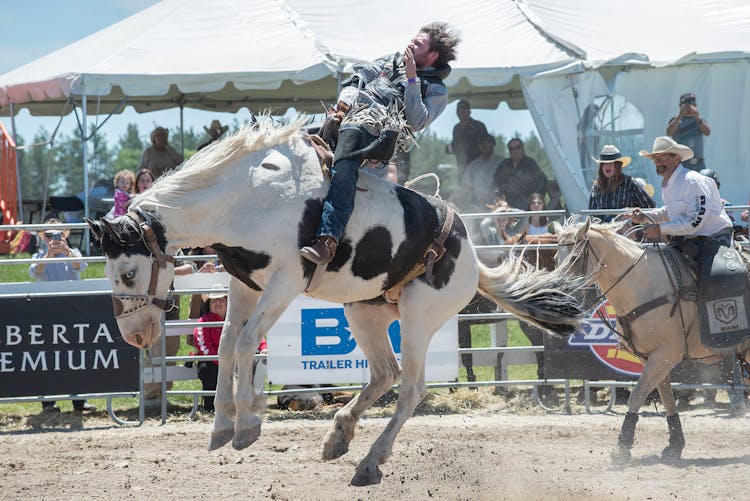 Rodeo Athlete Riding On A Horse