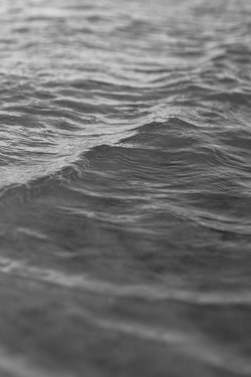 Grayscale Photo of Water